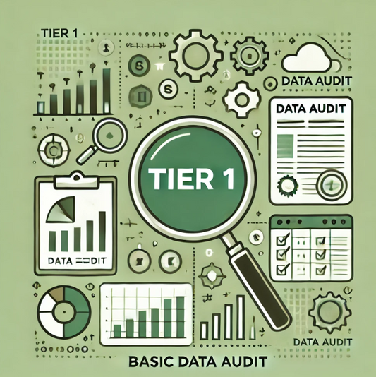 🟢 Tier 1 – Básico: Auditoría Inicial